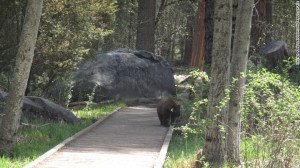 130603181309-img-4661-exlarge-169